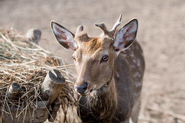 Similar image 21902408