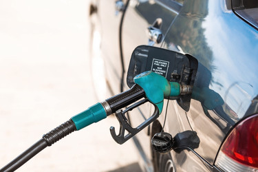 Similar image 21902409