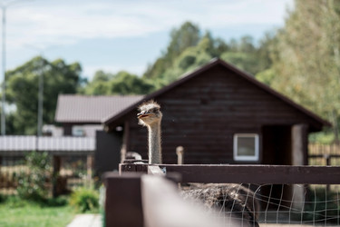 Similar image 21902414