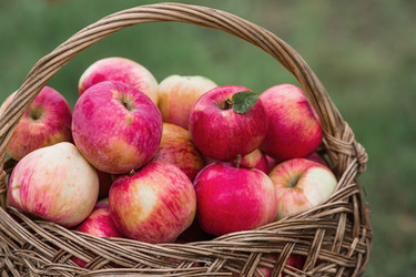 Similar image 21902416