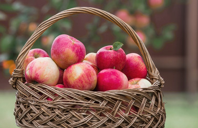 Similar image 21902420