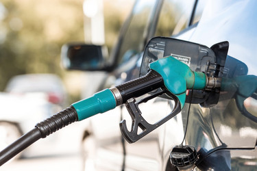 Similar image 21902427