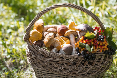 Similar image 21902578