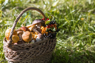 Similar image 21902580