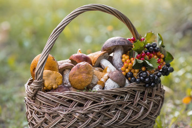 Similar image 21902582