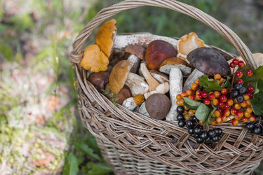 Similar image 21902583