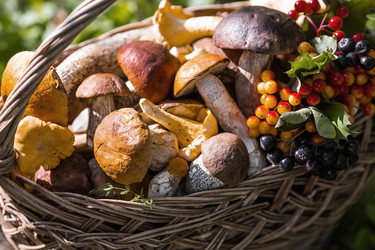 Similar image 21902584