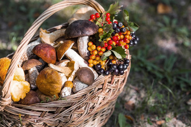 Similar image 21902585