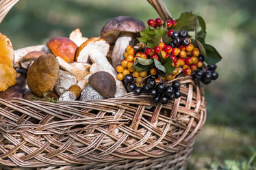 Similar image 21902586