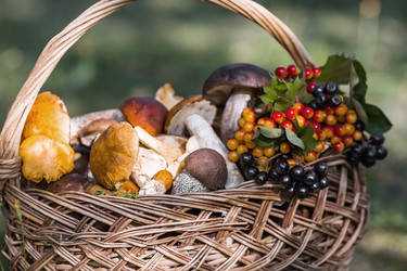 Similar image 21902587