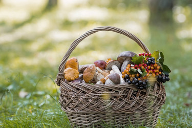 Similar image 21902588