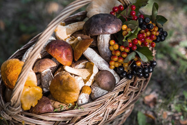 Similar image 21902589