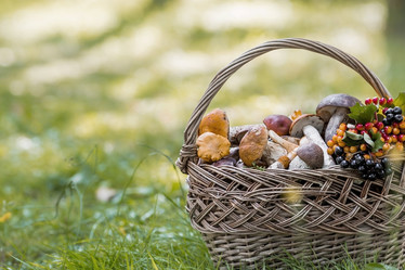 Similar image 21902590