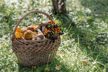 Similar image 21902592