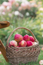 Similar image 21902594