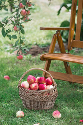 Similar image 21902596