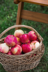 Similar image 21902597