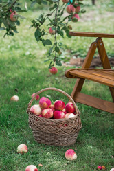 Similar image 21902598