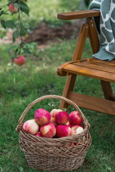 Similar image 21902599