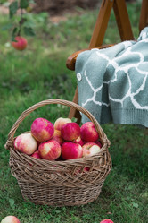 Similar image 21902600