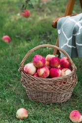 Similar image 21902601