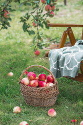 Similar image 21902701