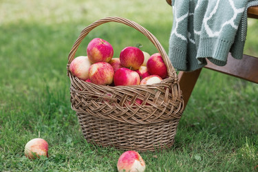 Similar image 21902702