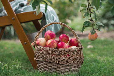 Similar image 21902703