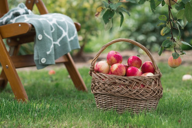 Similar image 21902859