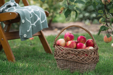 Similar image 21902860