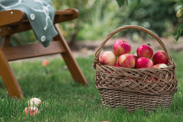 Similar image 21902861