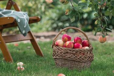 Similar image 21902862