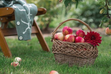 Similar image 21902864