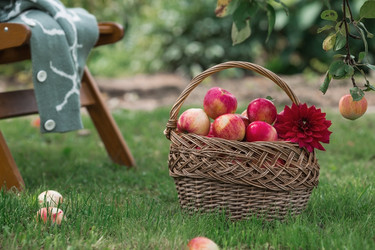 Similar image 21902865