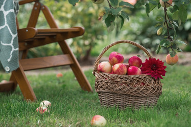 Similar image 21902866