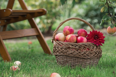 Similar image 21902867