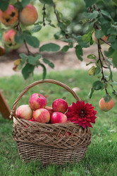 Similar image 21902868