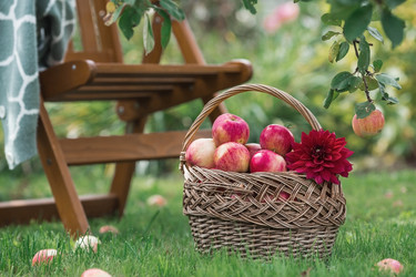 Similar image 21902869