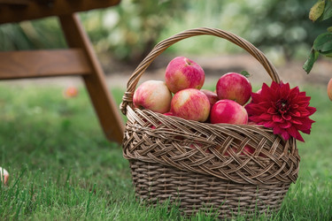 Similar image 21902870