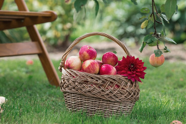 Similar image 21902871