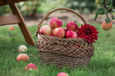 Similar image 21902872