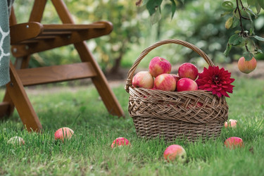 Similar image 21902873