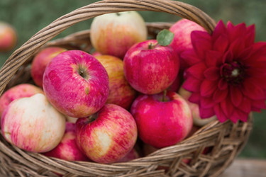 Similar image 21902874