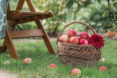 Similar image 21902876