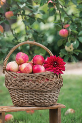 Similar image 21902877