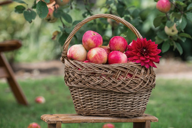 Similar image 21902878