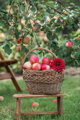 Similar image 21902880