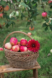 Similar image 21902881