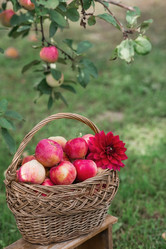 Similar image 21902882