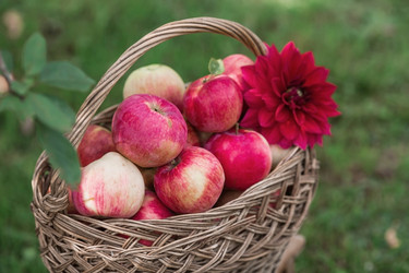 Similar image 21902883